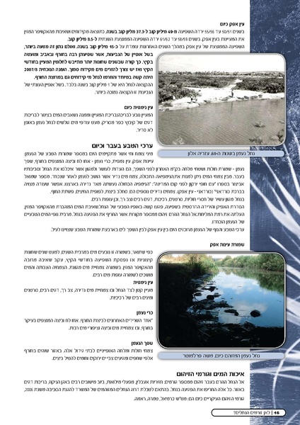קובץ:Doh Nehalim ForMail.pdf