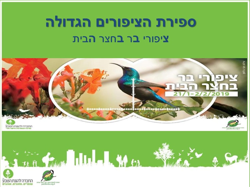קובץ:2019Mazeget.pdf