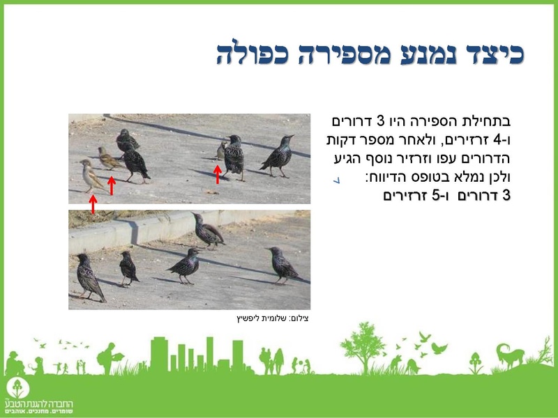 קובץ:2019Mazeget.pdf