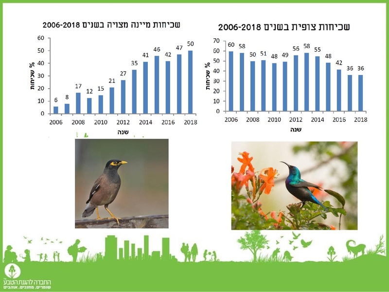 קובץ:2019Mazeget.pdf