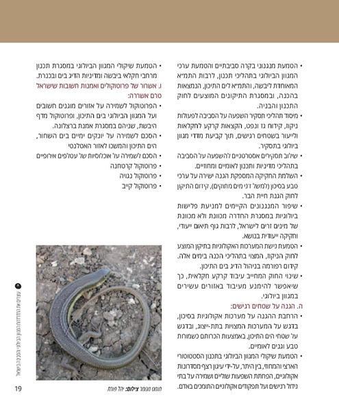 קובץ:Report(1).pdf