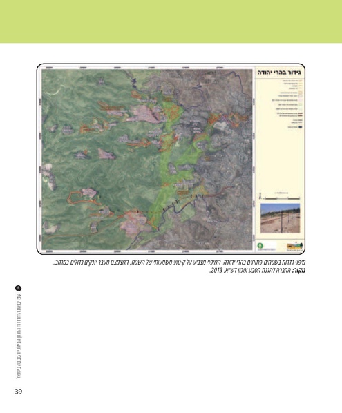 קובץ:Report(1).pdf