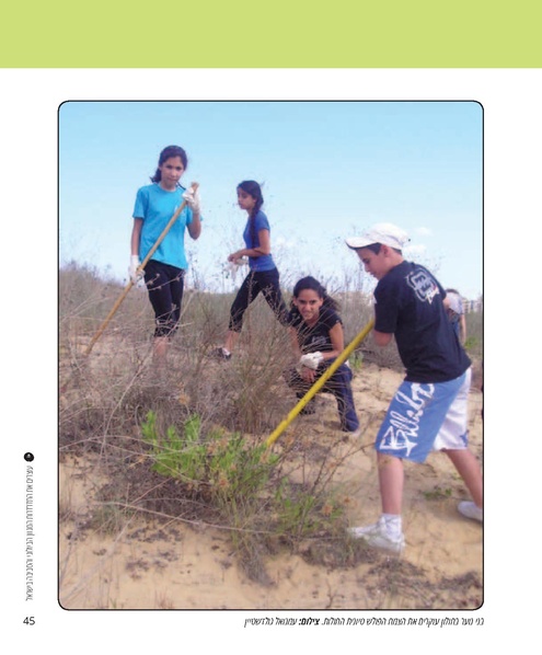 קובץ:Report(1).pdf