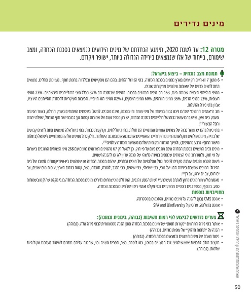 קובץ:Report(1).pdf