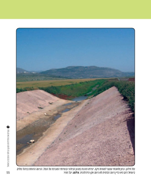 קובץ:Report(1).pdf