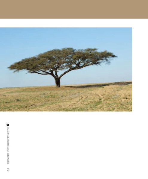 קובץ:Report(1).pdf