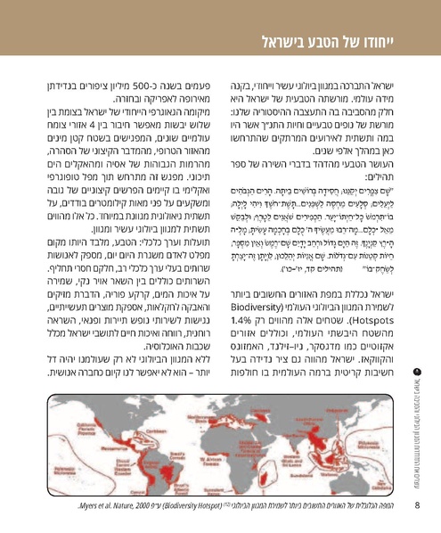 קובץ:Report(1).pdf