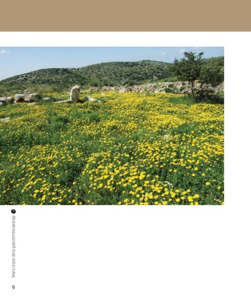 קובץ:Report(1).pdf