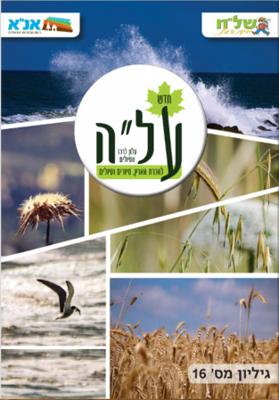תמונת רקע לדף על״ה - גליון מספר 16