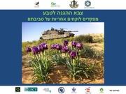 → לדף הקודם