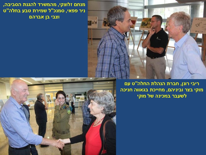 קובץ:P.pdf
