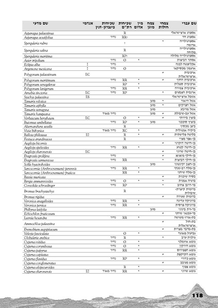קובץ:Holot.pdf