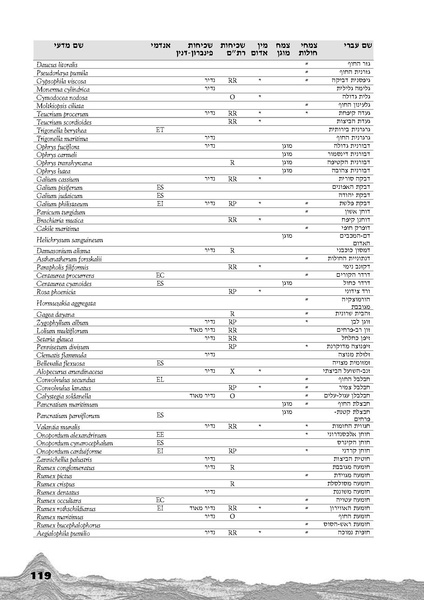 קובץ:Holot.pdf