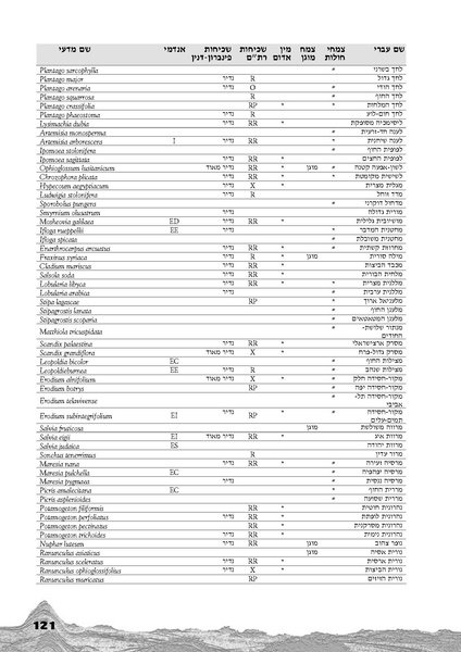 קובץ:Holot.pdf