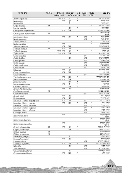 קובץ:Holot.pdf