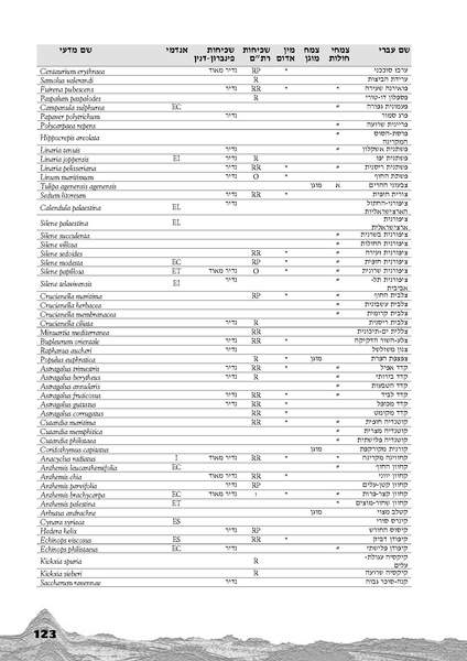 קובץ:Holot.pdf