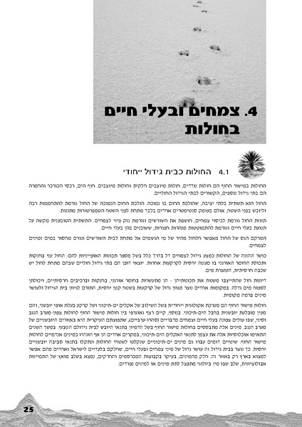 קובץ:Holot.pdf