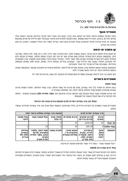 קובץ:Holot.pdf