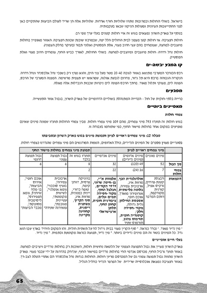 קובץ:Holot.pdf