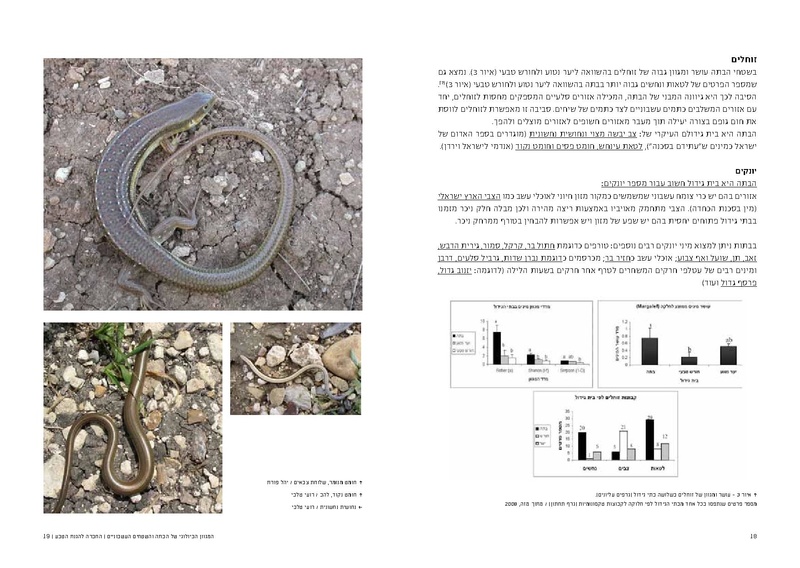 קובץ:Bata final.pdf