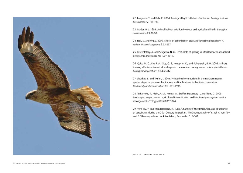 קובץ:Bata final.pdf