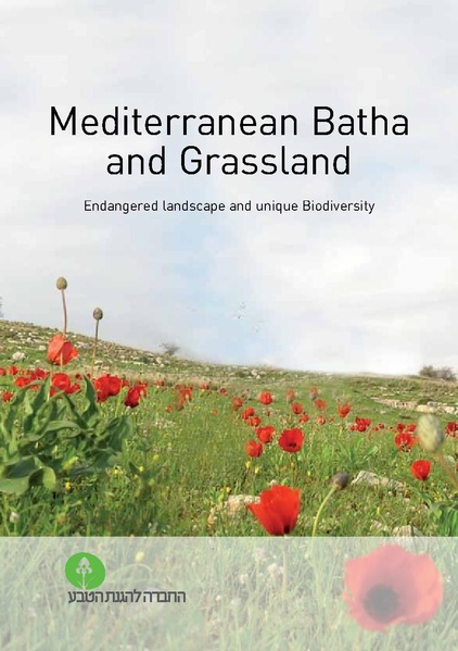 קובץ:Bata final.pdf