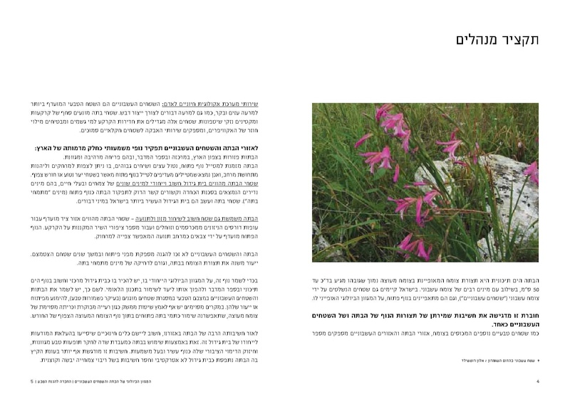 קובץ:Bata final.pdf