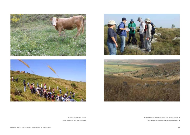 קובץ:Bata final.pdf