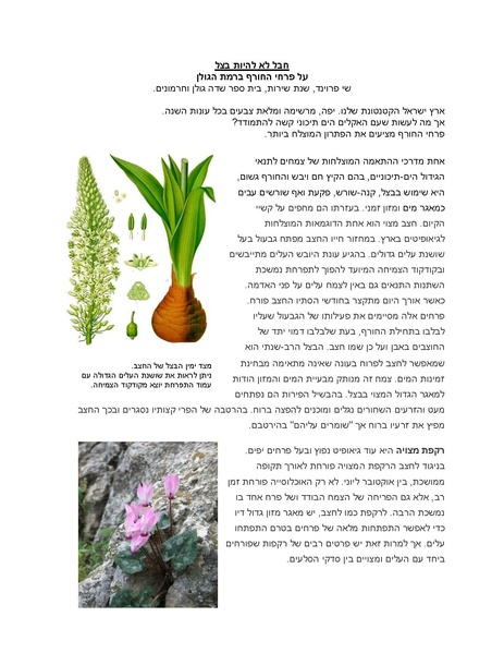 קובץ:9(4).pdf