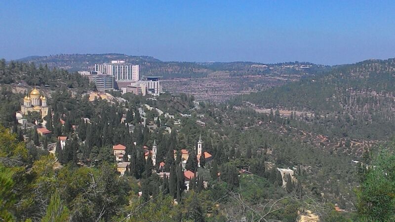 קובץ:P 20170829 105458(1).jpg