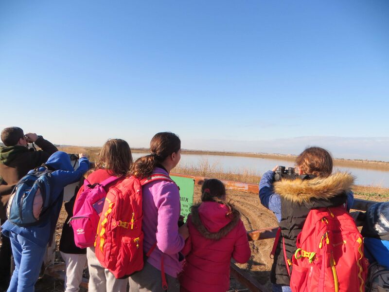 קובץ:IMG 3105(1).JPG