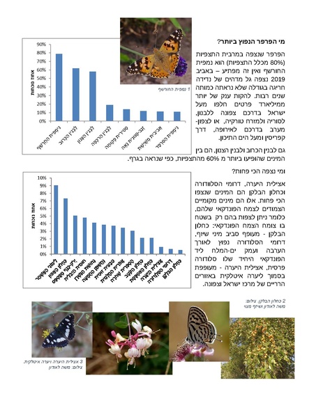 קובץ:Butterflies count sikum.pdf