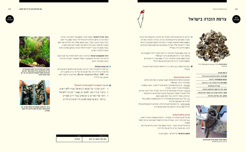 קובץ:Ecology(1).pdf