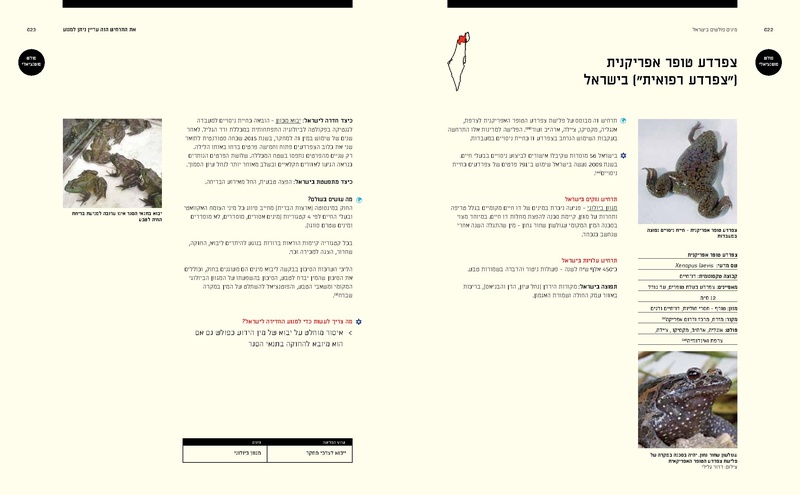 קובץ:Ecology(1).pdf