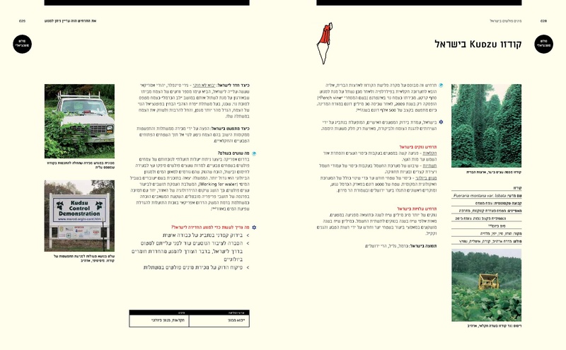 קובץ:Ecology(1).pdf