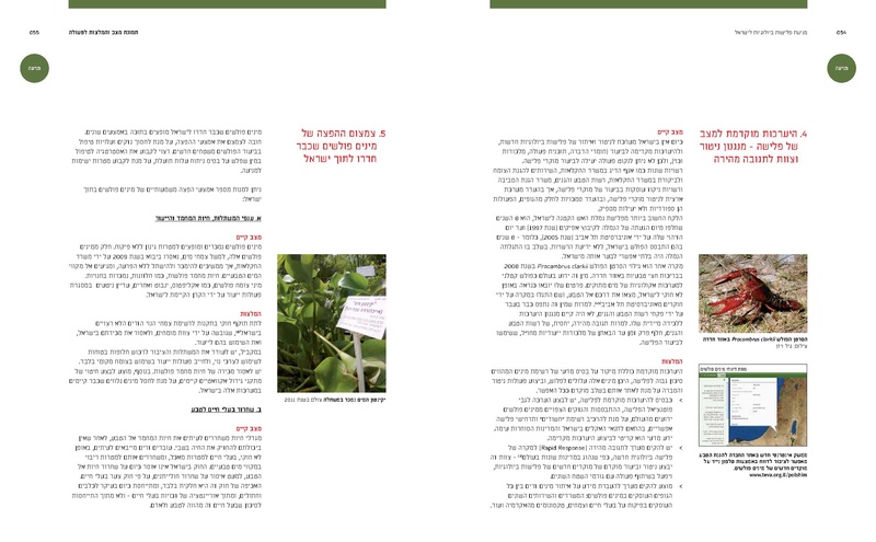 קובץ:Ecology(1).pdf