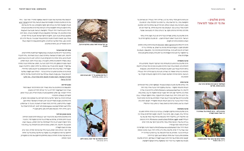 קובץ:Ecology(1).pdf