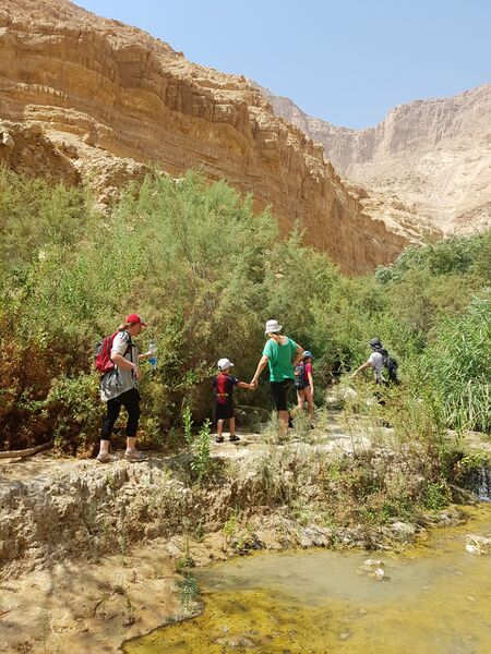 קובץ:20170812 104942(1)(1).jpg