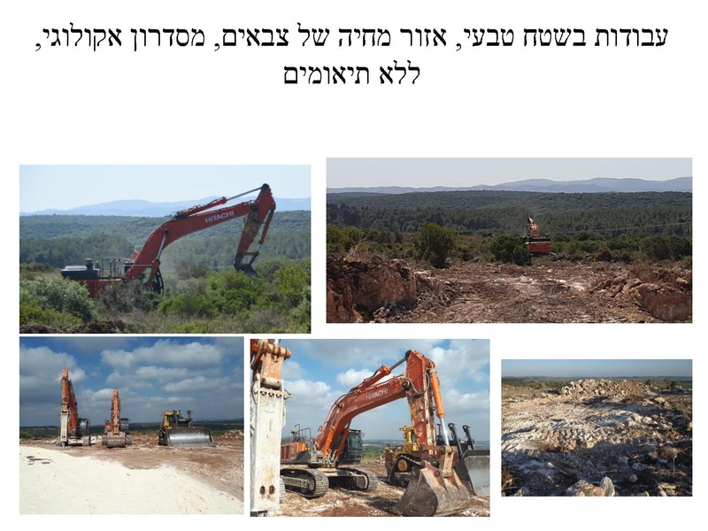 קובץ:Givaat hazvaim hesberim(1).pdf