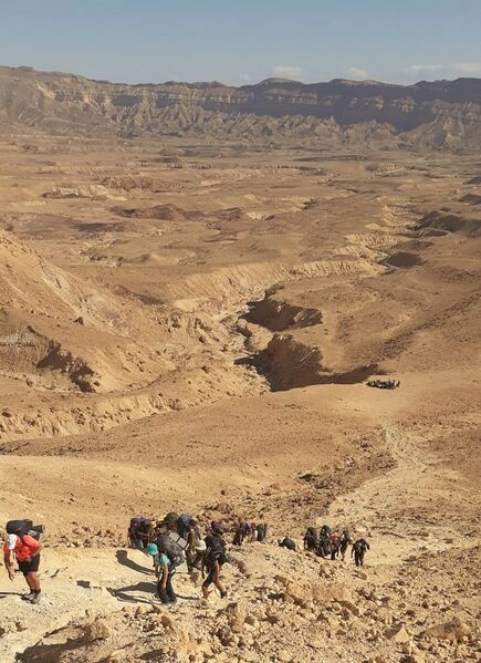 קובץ:Midbar yehuda tzahi(1).jpg