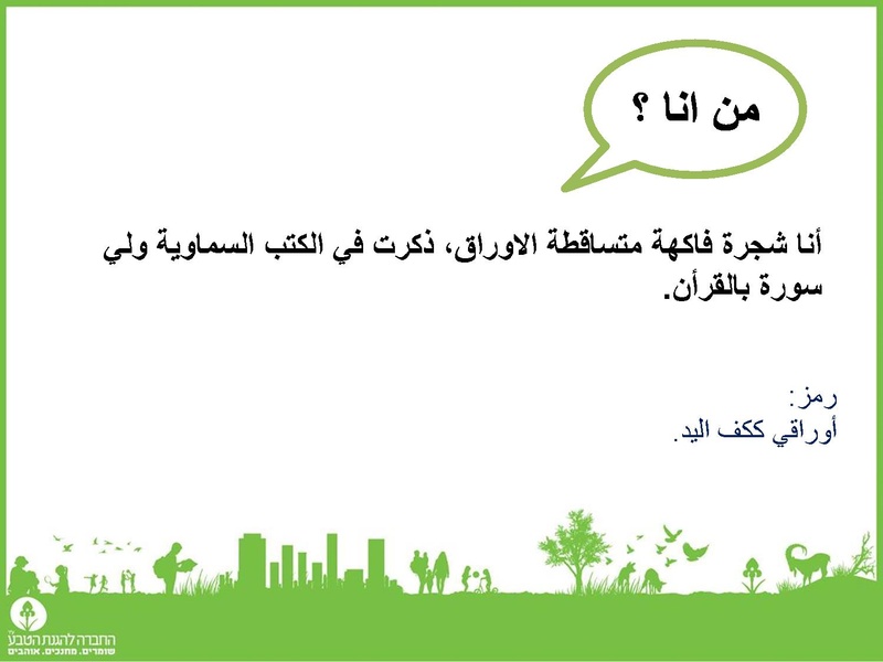 קובץ:احاجي الأشجار.pdf