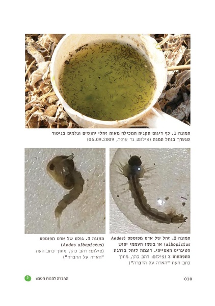 קובץ:TEV Mosquito Hadbara.pdf