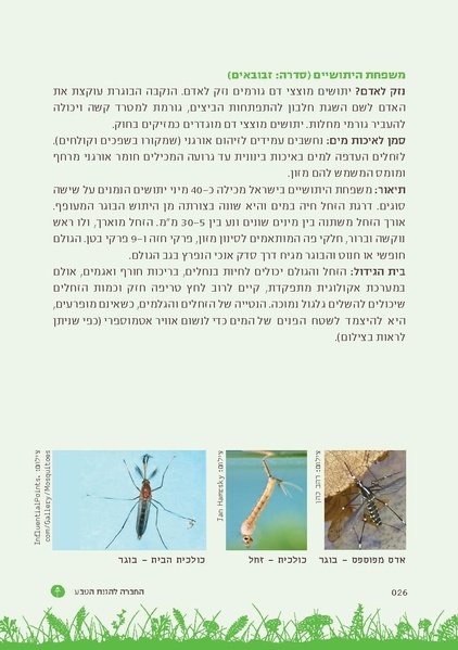 קובץ:TEV Mosquito Hadbara.pdf