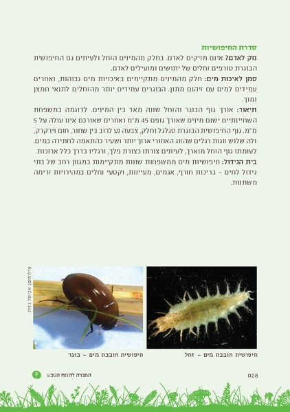 קובץ:TEV Mosquito Hadbara.pdf