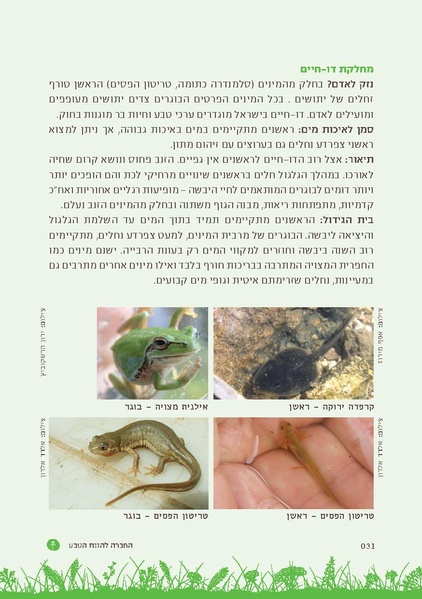 קובץ:TEV Mosquito Hadbara.pdf