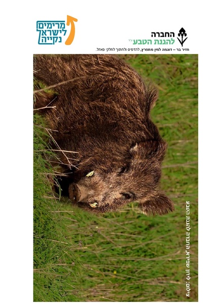קובץ:פאזל חזיר בר.pdf