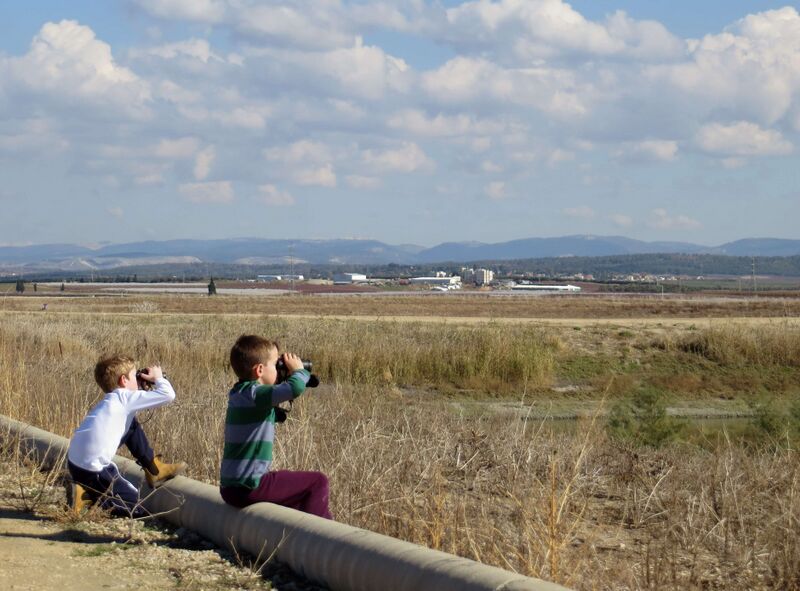 קובץ:IMG 3146.JPG