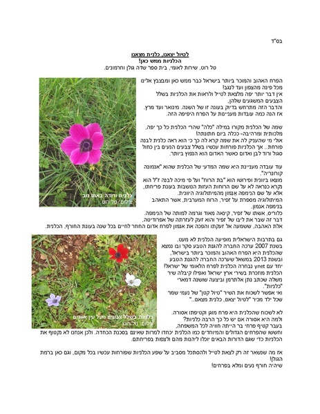 קובץ:Kalanit(1).pdf