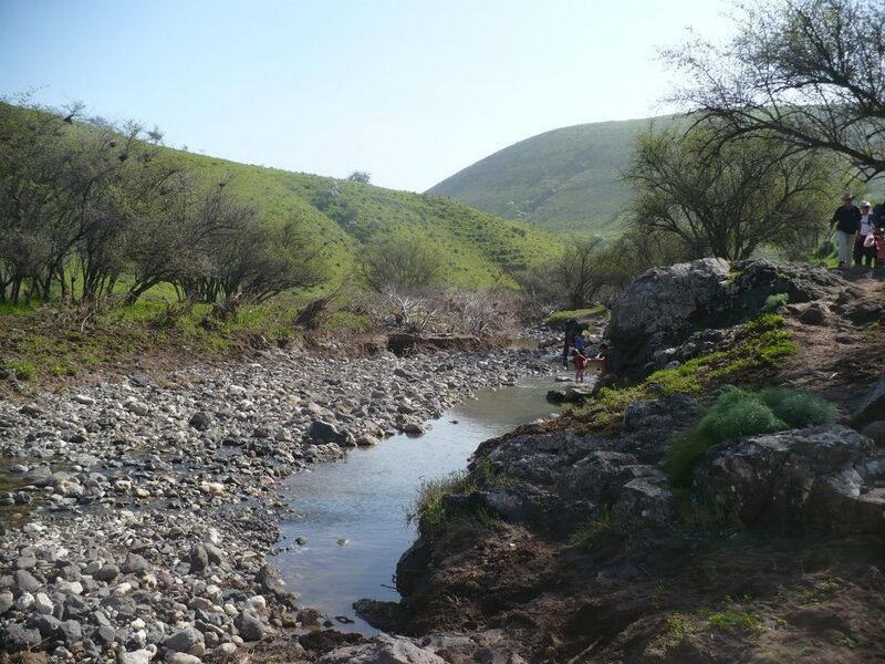 קובץ:Nahal tavor galit armon katzir.JPG