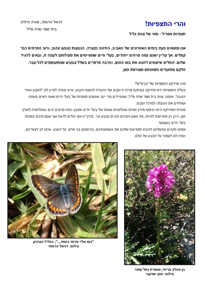קובץ:Tazpi(2).pdf